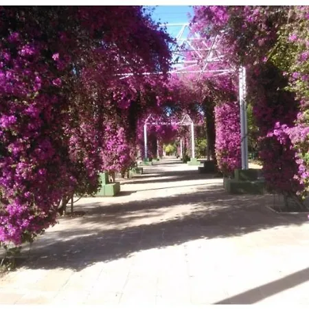 Sevillapark 度假居 *